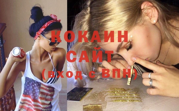 гашик Костерёво