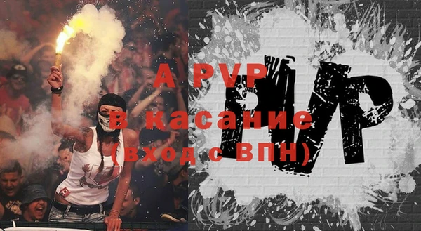 амф Коряжма