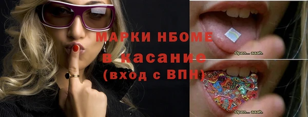 гашик Костерёво