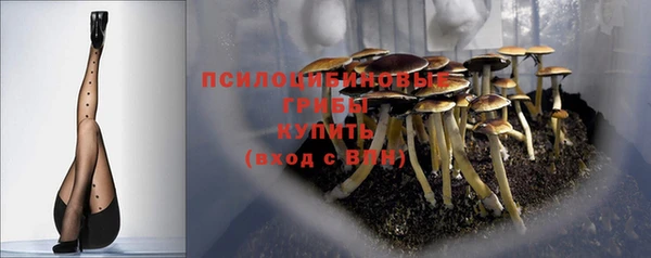 гашик Костерёво