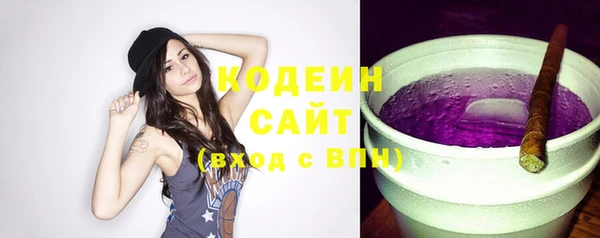 гашик Костерёво