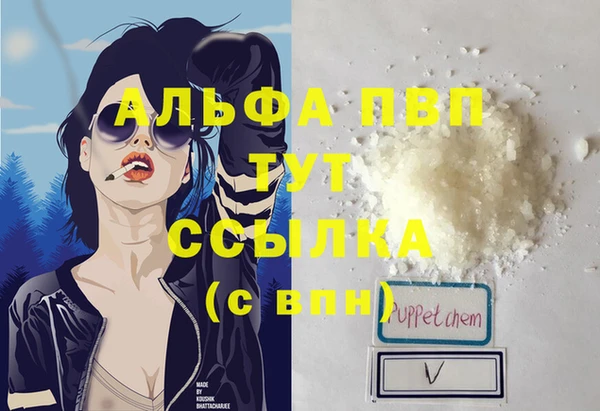 дживик Корсаков