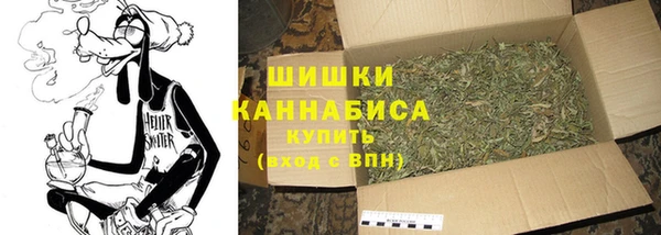 гашик Костерёво