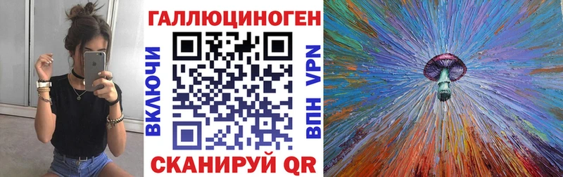 Купить закладки  Николаевск  Псилоцибиновые грибы GOLDEN TEACHER 