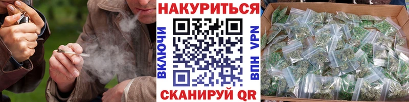 Шишки марихуана SATIVA & INDICA  Купить закладки  Николаевск 